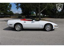 1995 Chevrolet Corvette (CC-2066566) for sale in Lake Mary, Florida
