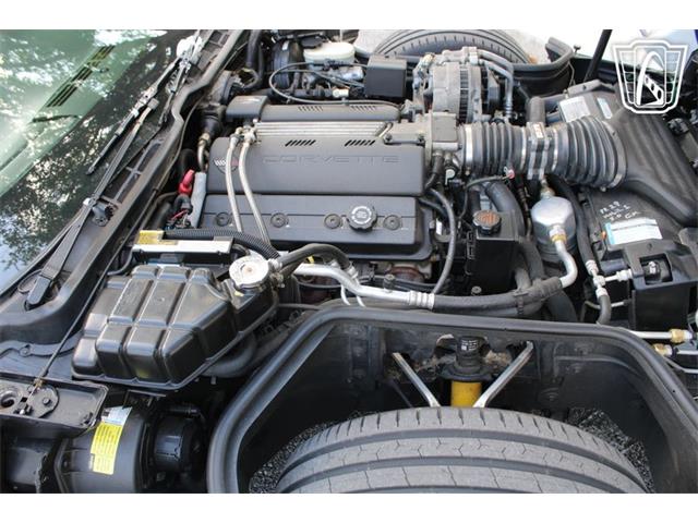 1995 Chevrolet Corvette (CC-2066566) for sale in Lake Mary, Florida