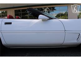 1995 Chevrolet Corvette (CC-2066566) for sale in Lake Mary, Florida