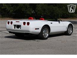 1995 Chevrolet Corvette (CC-2066566) for sale in Lake Mary, Florida