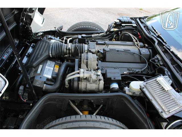 1995 Chevrolet Corvette (CC-2066566) for sale in Lake Mary, Florida