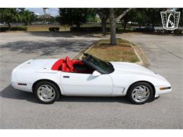 1995 Chevrolet Corvette (CC-2066566) for sale in Lake Mary, Florida