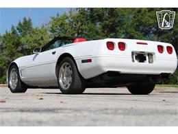 1995 Chevrolet Corvette (CC-2066566) for sale in Lake Mary, Florida