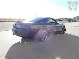 2008 Ford Mustang (CC-2066575) for sale in Ruskin, Florida