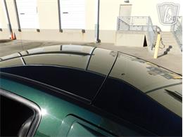 2008 Ford Mustang (CC-2066575) for sale in Ruskin, Florida