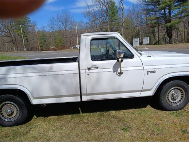 1982 Ford F150 (CC-2066585) for sale in Cadillac, Michigan