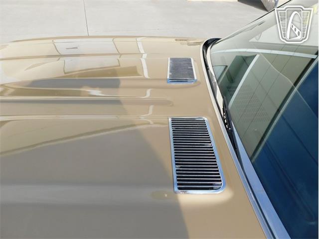 1969 Chevrolet Chevelle (CC-2066594) for sale in Ruskin, Florida