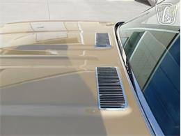 1969 Chevrolet Chevelle (CC-2066594) for sale in Ruskin, Florida