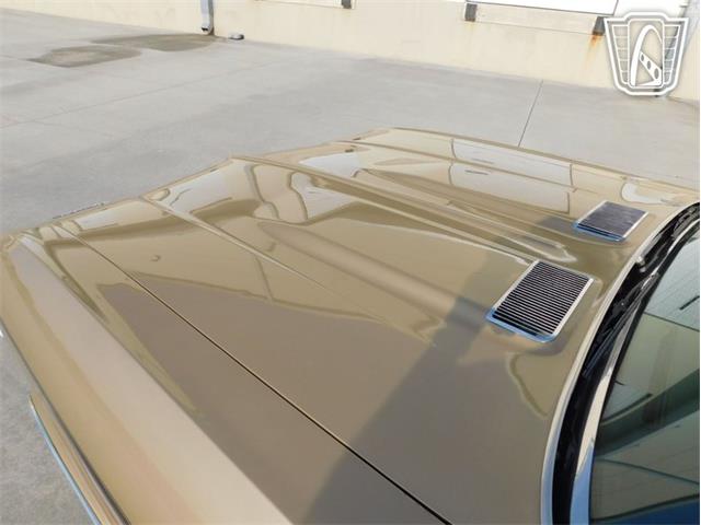 1969 Chevrolet Chevelle (CC-2066594) for sale in Ruskin, Florida