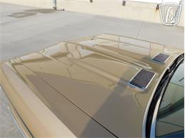 1969 Chevrolet Chevelle (CC-2066594) for sale in Ruskin, Florida