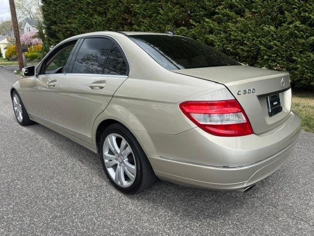 2010 Mercedes-Benz 300 (CC-2066595) for sale in Carlisle, Pennsylvania