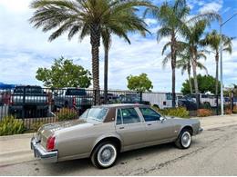 1983 Oldsmobile Delta 88 (CC-2066601) for sale in Cadillac, Michigan