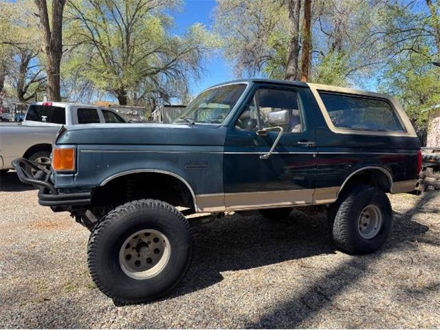 1991 Ford Bronco (CC-2066605) for sale in Cadillac, Michigan