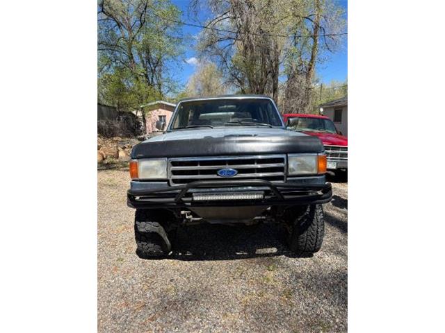 1991 Ford Bronco (CC-2066605) for sale in Cadillac, Michigan