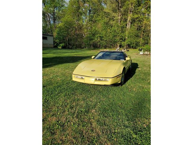 1984 Chevrolet Corvette (CC-2066617) for sale in Carlisle, Pennsylvania