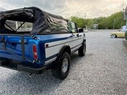 1976 International Scout (CC-2066623) for sale in Carlisle, Pennsylvania