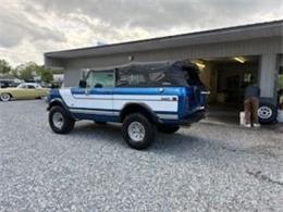 1976 International Scout (CC-2066623) for sale in Carlisle, Pennsylvania