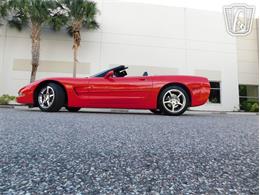 2004 Chevrolet Corvette (CC-2066625) for sale in Ruskin, Florida