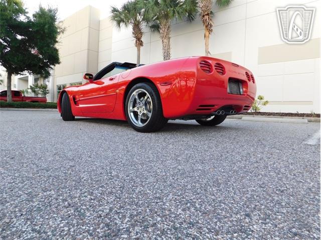 2004 Chevrolet Corvette (CC-2066625) for sale in Ruskin, Florida