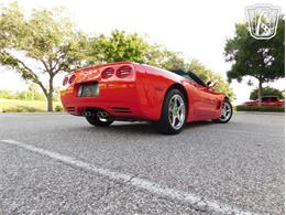 2004 Chevrolet Corvette (CC-2066625) for sale in Ruskin, Florida