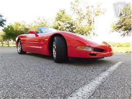 2004 Chevrolet Corvette (CC-2066625) for sale in Ruskin, Florida