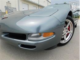 2004 Chevrolet Corvette (CC-2066629) for sale in Ruskin, Florida