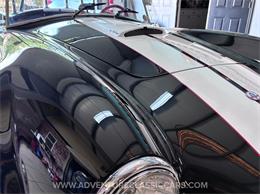 2013 Ford Cobra (CC-2066742) for sale in Clearwater, Florida