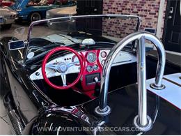 2013 Ford Cobra (CC-2066742) for sale in Clearwater, Florida