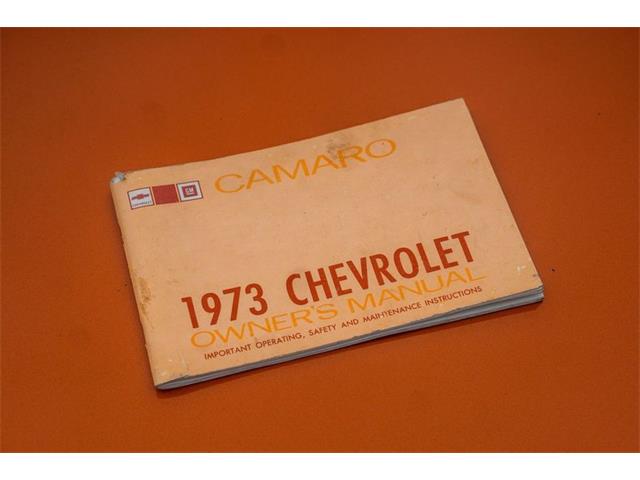 1973 Chevrolet Camaro (CC-2066831) for sale in Laguna Beach, California