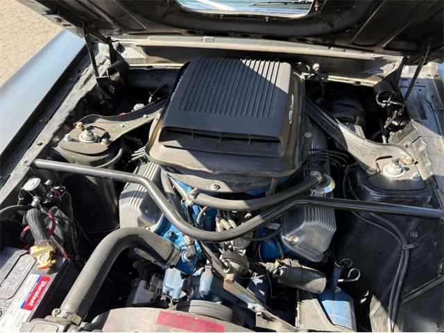 1969 Ford Mustang (CC-2066904) for sale in Murrieta, California