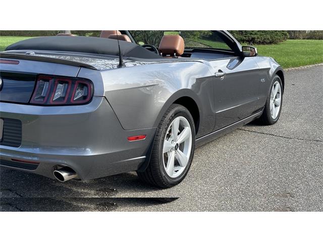 2014 Ford Mustang GT (CC-2066920) for sale in Southampton, New York