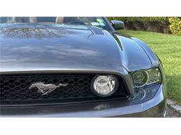 2014 Ford Mustang GT (CC-2066920) for sale in Southampton, New York