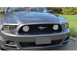 2014 Ford Mustang GT (CC-2066920) for sale in Southampton, New York