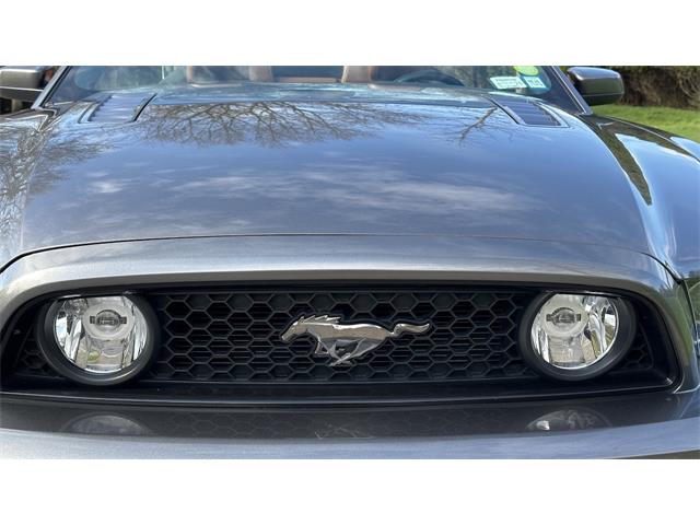 2014 Ford Mustang GT (CC-2066920) for sale in Southampton, New York