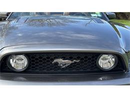 2014 Ford Mustang GT (CC-2066920) for sale in Southampton, New York