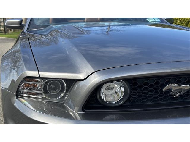 2014 Ford Mustang GT (CC-2066920) for sale in Southampton, New York