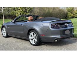 2014 Ford Mustang GT (CC-2066920) for sale in Southampton, New York