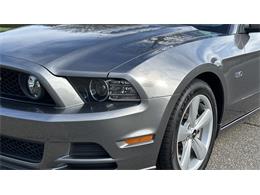 2014 Ford Mustang GT (CC-2066920) for sale in Southampton, New York