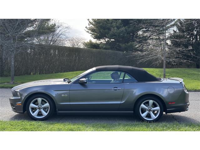 2014 Ford Mustang GT (CC-2066920) for sale in Southampton, New York