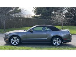 2014 Ford Mustang GT (CC-2066920) for sale in Southampton, New York