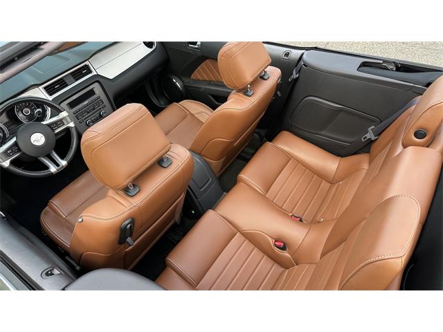 2014 Ford Mustang GT (CC-2066920) for sale in Southampton, New York