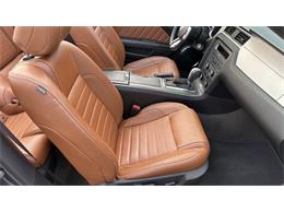 2014 Ford Mustang GT (CC-2066920) for sale in Southampton, New York