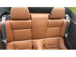 2014 Ford Mustang GT (CC-2066920) for sale in Southampton, New York