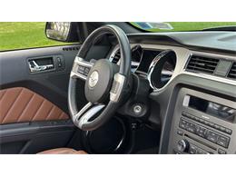 2014 Ford Mustang GT (CC-2066920) for sale in Southampton, New York