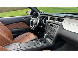 2014 Ford Mustang GT (CC-2066920) for sale in Southampton, New York