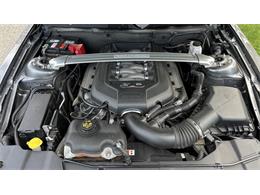 2014 Ford Mustang GT (CC-2066920) for sale in Southampton, New York