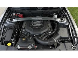 2014 Ford Mustang GT (CC-2066920) for sale in Southampton, New York