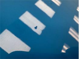 1969 Ford Mustang (CC-2066987) for sale in Morgantown, Pennsylvania