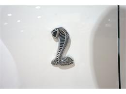 2008 Shelby GT500 (CC-2066988) for sale in Kentwood, Michigan