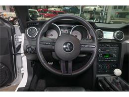 2008 Shelby GT500 (CC-2066988) for sale in Kentwood, Michigan